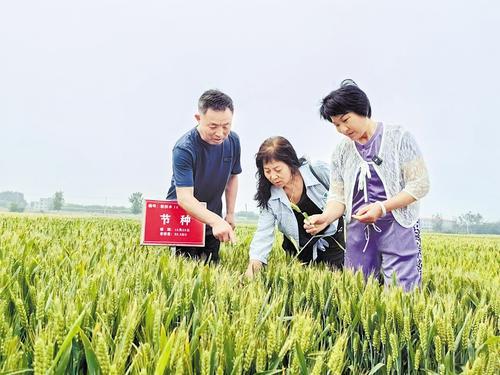 國(guó)家級(jí)展會(huì)賦能，洞見(jiàn)中國(guó)種業(yè)發(fā)展的新機(jī)遇